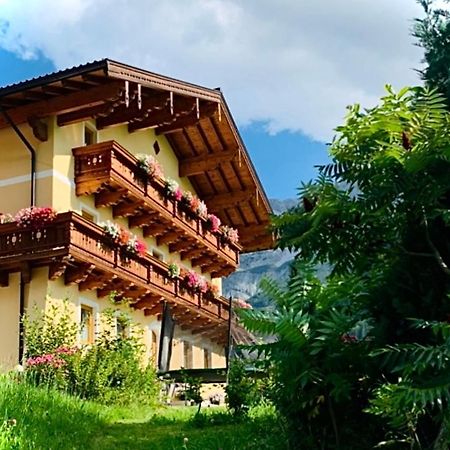Alpen Appartements Oberlehengut Werfenweng Eksteriør billede