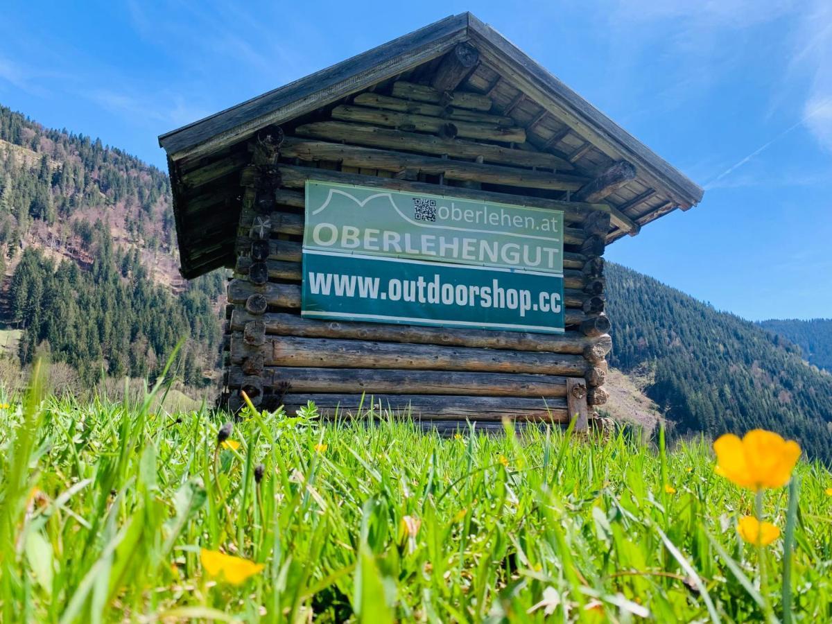 Alpen Appartements Oberlehengut Werfenweng Eksteriør billede
