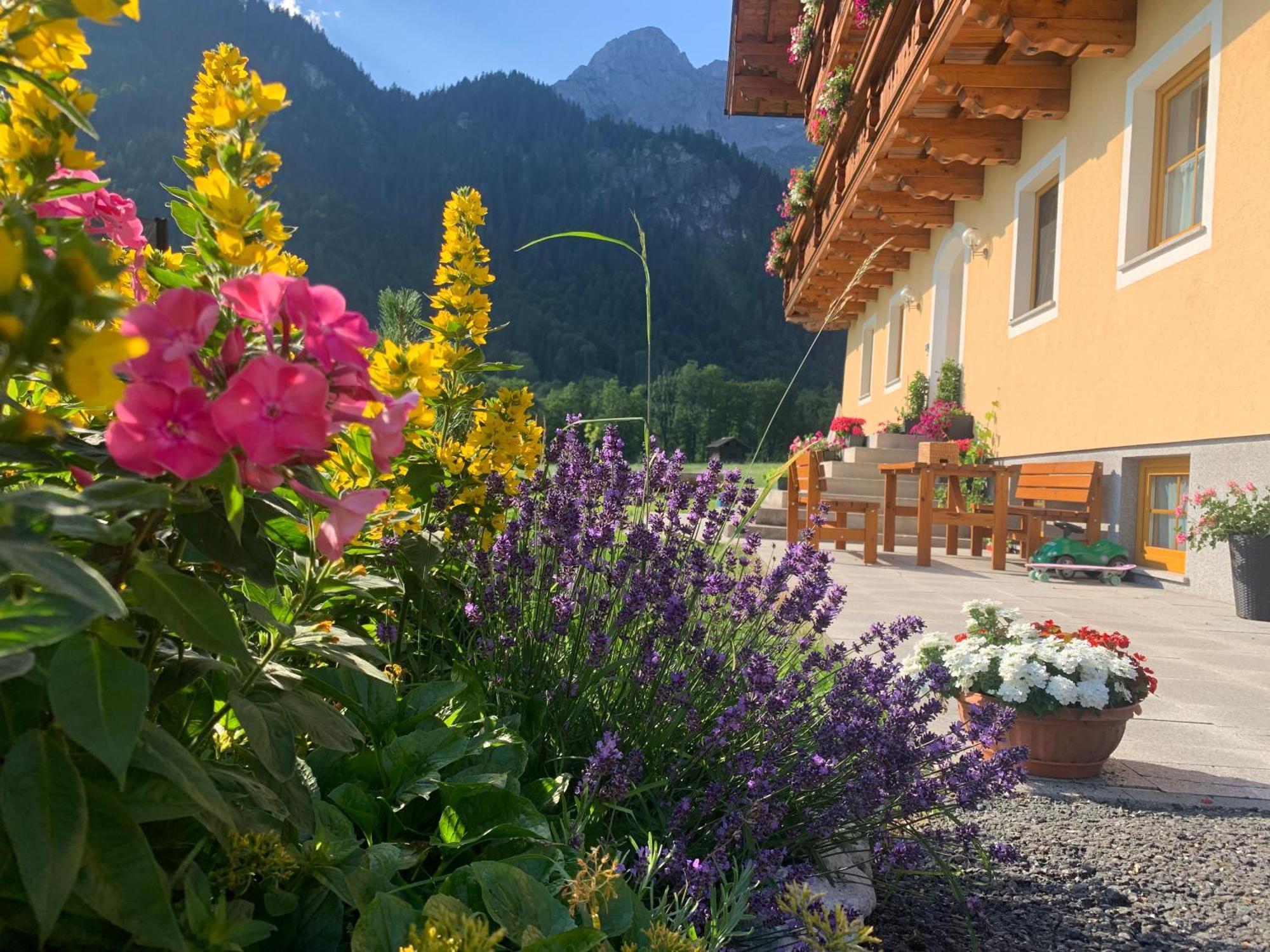 Alpen Appartements Oberlehengut Werfenweng Eksteriør billede